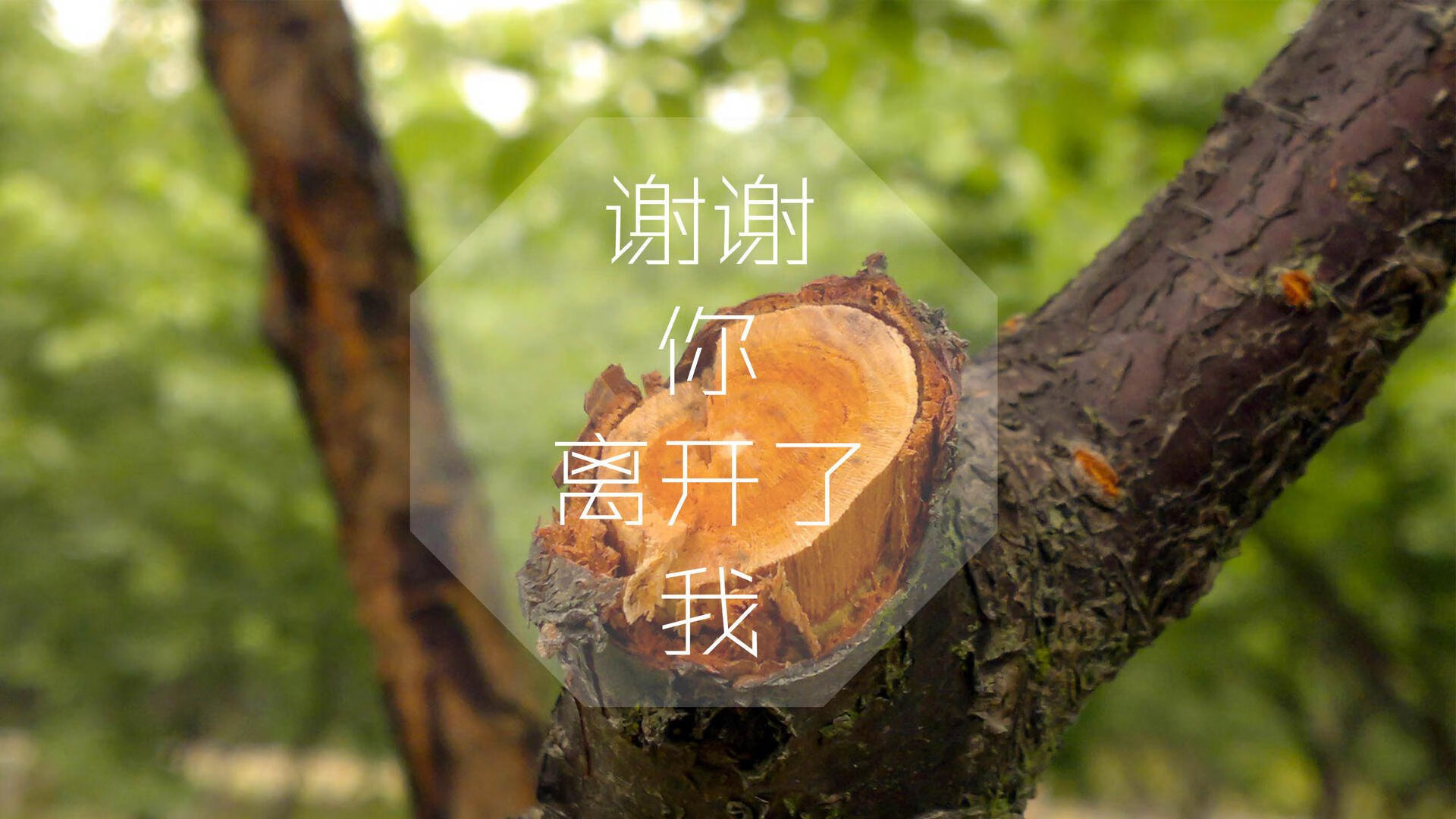开云官网首页-NBA球队管理层决策流程与效率研究，nba管理层结构分析图