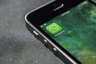 开云官网登录-球迷互动：比赛App的新功能带来新体验，球迷交流app