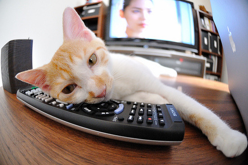 开云官网APP下载-“武汉马拉松赛道：每一步都带来无限可能”