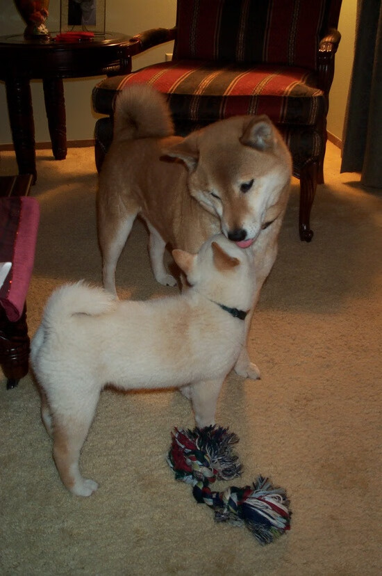 开云综合服务-“高新体育中心：篮球赛场上演激烈拼抢与战术博弈”