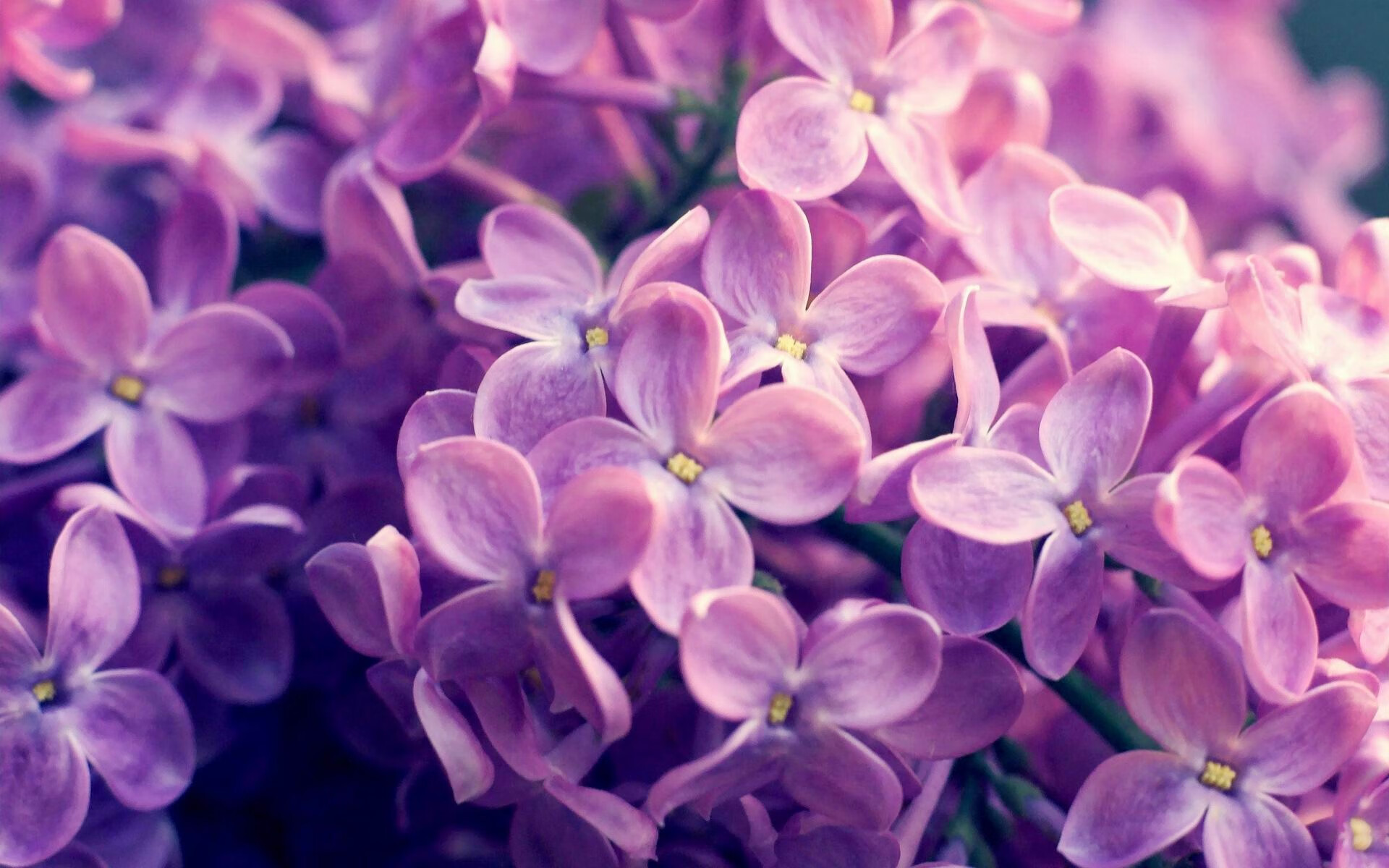 开云真人-东亚杯中国足球迎战 球员拼搏赢得赞誉，东亚杯国足成绩