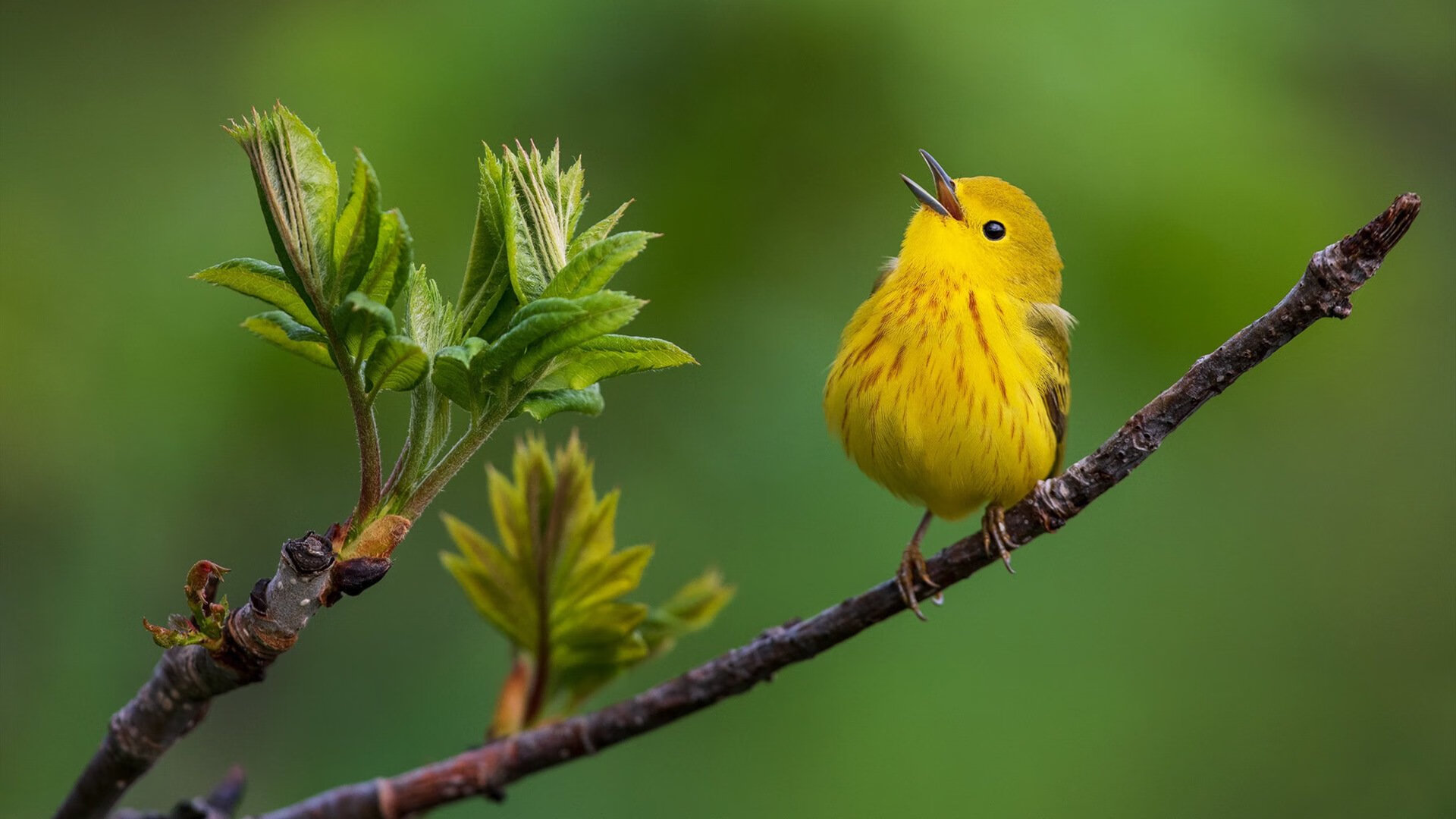 开云 官网 入口-乒乓球赛事规则调整，适应现代竞技需求，乒乓球赛事的规则