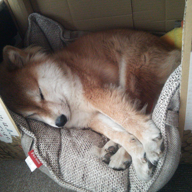 开云kaiyun-国际热身赛中国足球爆冷 球迷呼吁提升战术，中国足球热身赛结果