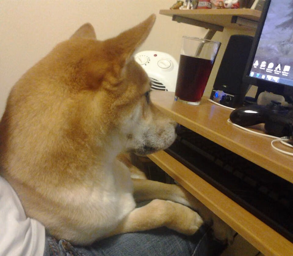 开云平台-新闻中心发布年度发展计划,新闻中心工作规划