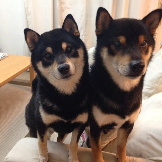 开云体育官方下载-节奏缓慢的球队是否更适合持久战，节奏放缓