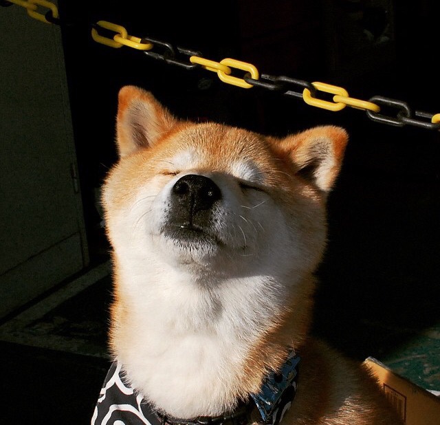 开云中国-乌拉圭士气高昂，期待在国际舞台发光发热